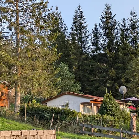 Ferienhaus Goldisthal Holiday home Goldisthal