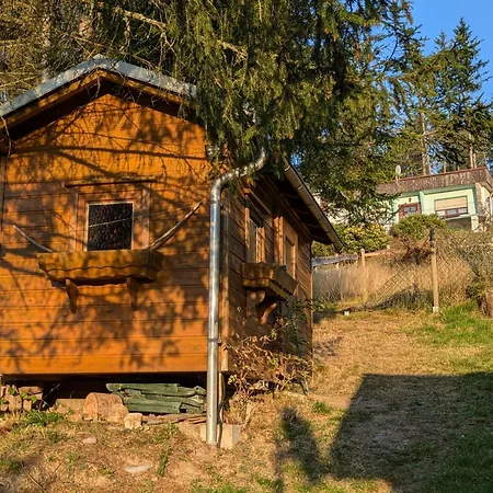 Ferienhaus Goldisthal Holiday home *